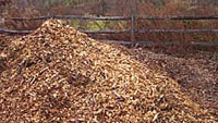 Free Wood Chips