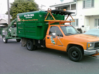 tree work